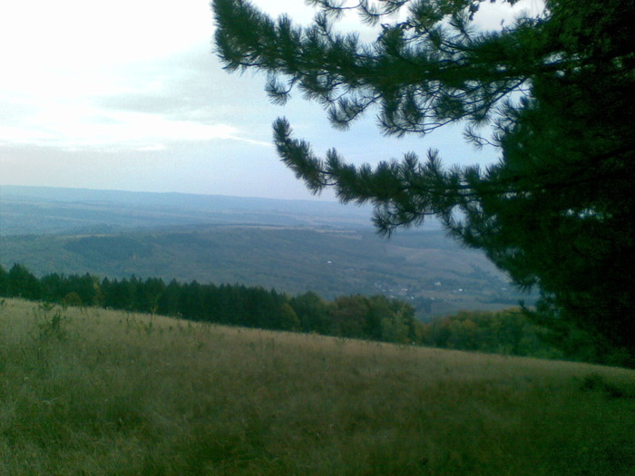 29092009(004) - vanatoare padure