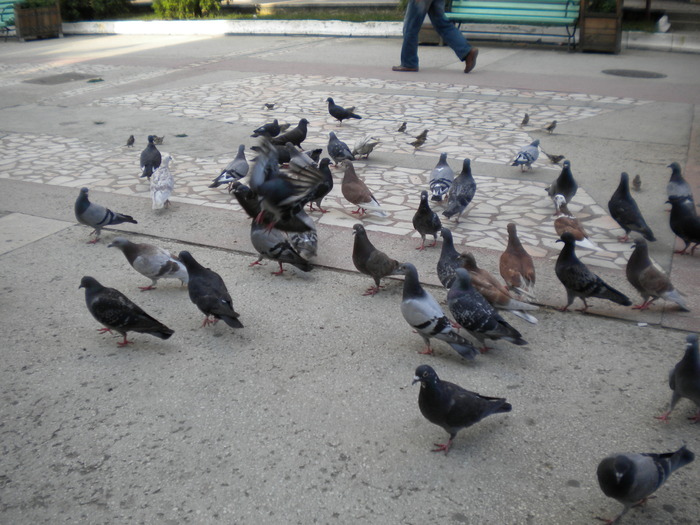 DSCN0096 - 18f Targoviste