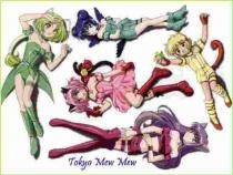 ERZQAYFHPDBLBZARTED - echipa mew mew