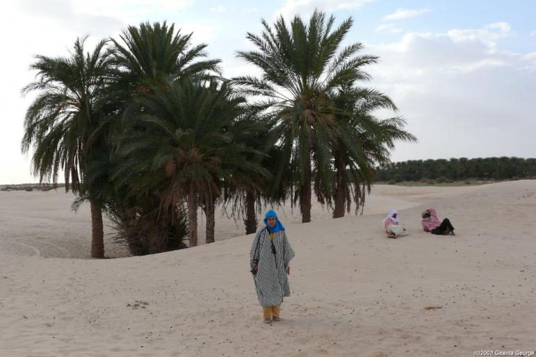 Tunisia_379 - Tunisia