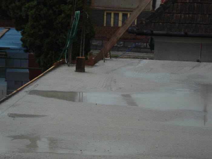DSC02039