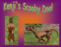 NAZKDBKQQRSGJFBBINF - scooby doo