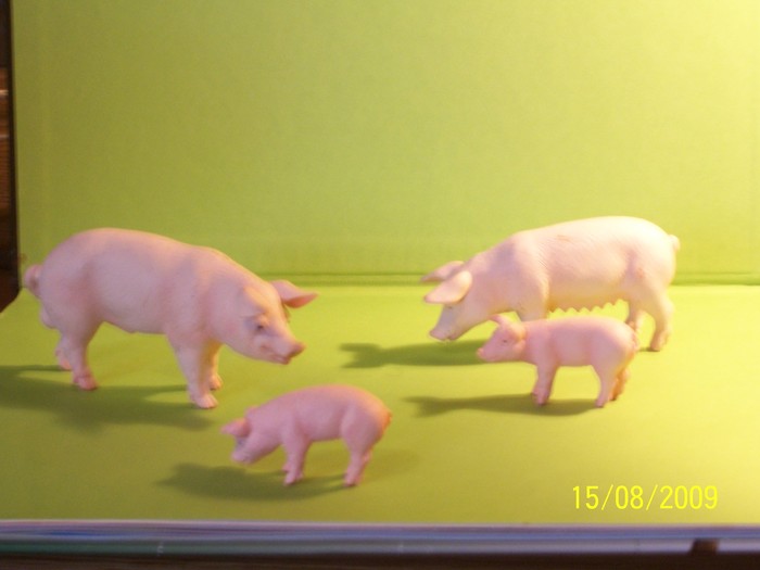 porci - animale SCHLEICH