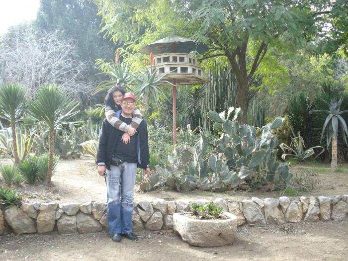 Picture 390 - 2009 REVELION CIPRU