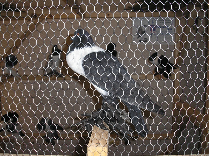 P1010169