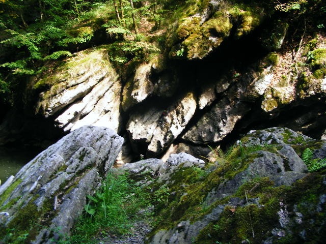 DSCF5176