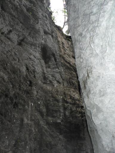 P100063