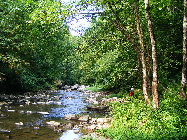 DSCF5060