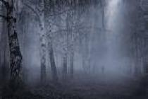 1234rt5gf - Imagini de Iarna