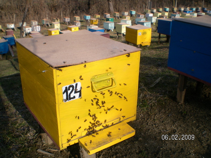 SANY0027; doar cind se incalzeste se umple cu albine.
