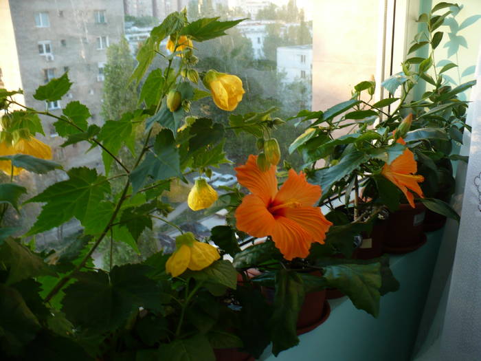 P1110140