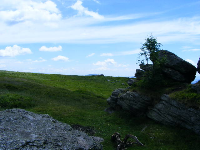 DSCF1965 - varful Ignis Maramures