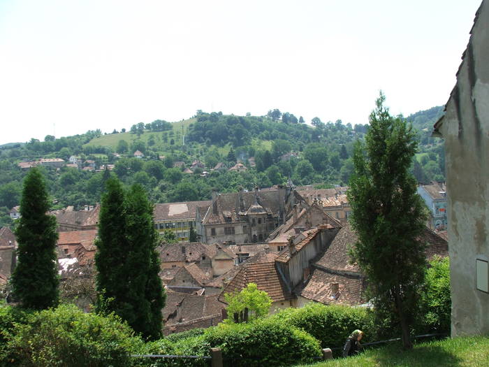 DSCF0943 - sighisoara