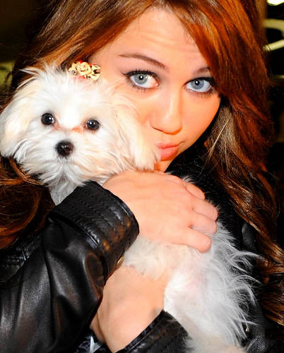 3269986374_f62696a94d - Miley Cyrus and Dog