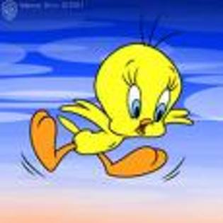 ps - Tweety