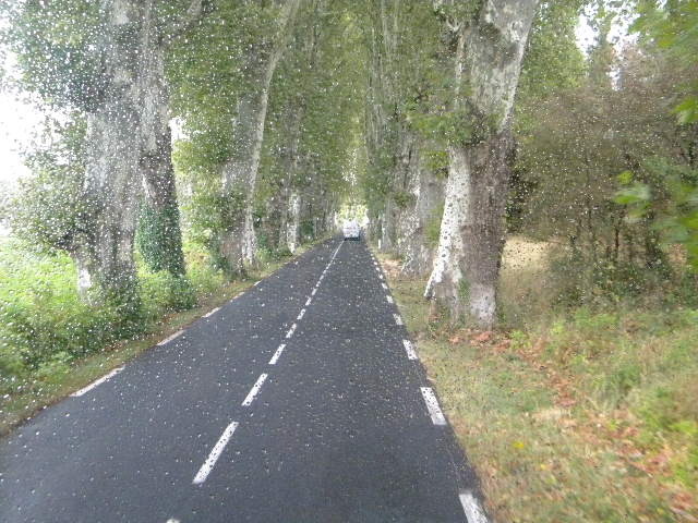 DSCN1603