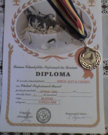 Loc 3 Viteza 2006, club Muscel cu porumbelul 307020-04 (loc 1343 UCPR) - Diplome si medalii