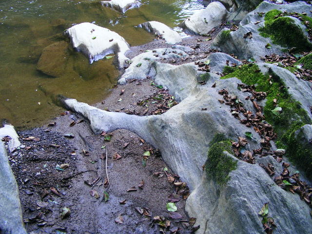DSCF5155