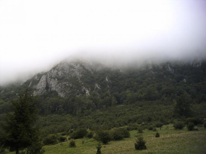PICT0257