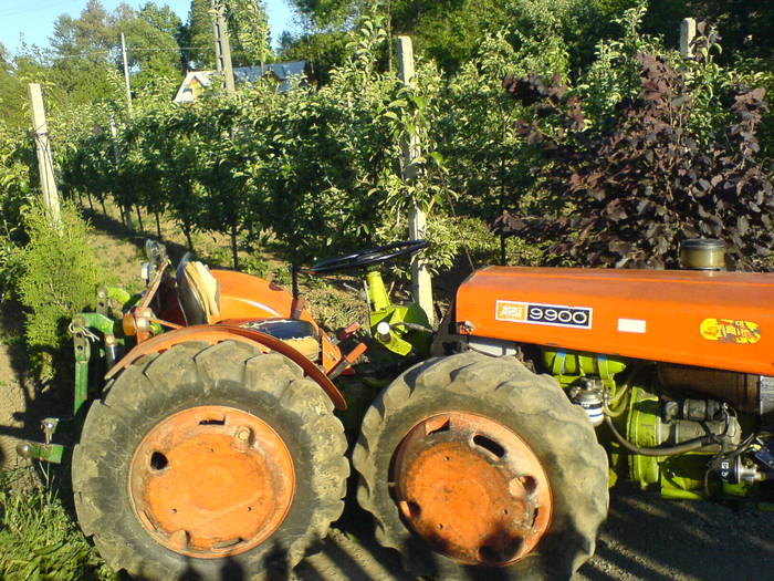 DSC00946; vand tractor agria pret 3500euro 35 PS articulat
