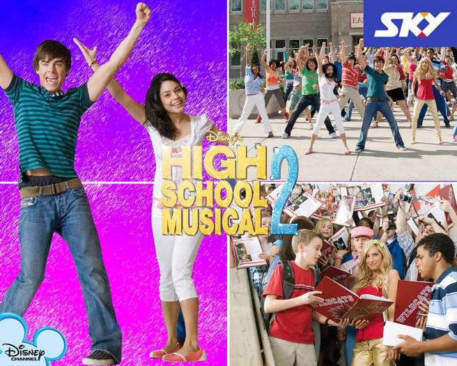 HSM_Wallpaper_1280x1024 - poze hsm