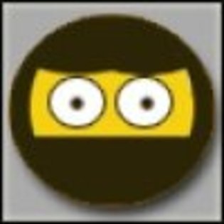 ninja[1] - pentru mess