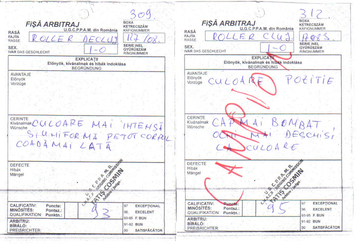 fise albitraj Cluj 2010