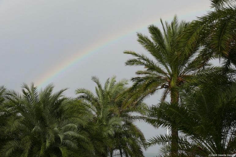 Tunisia_102 - Tunisia