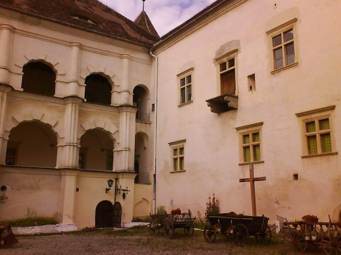 DSC05551