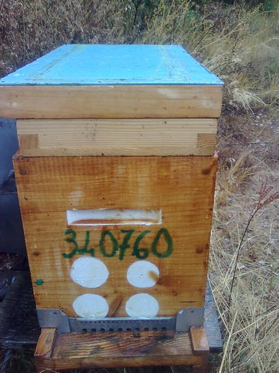 fiecare lada se marcheaza-crotaliaza - ApiMondia