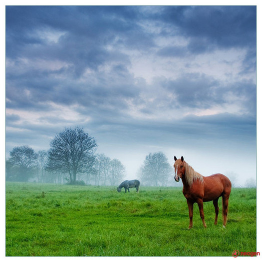 37372404_0020000821745_00_600