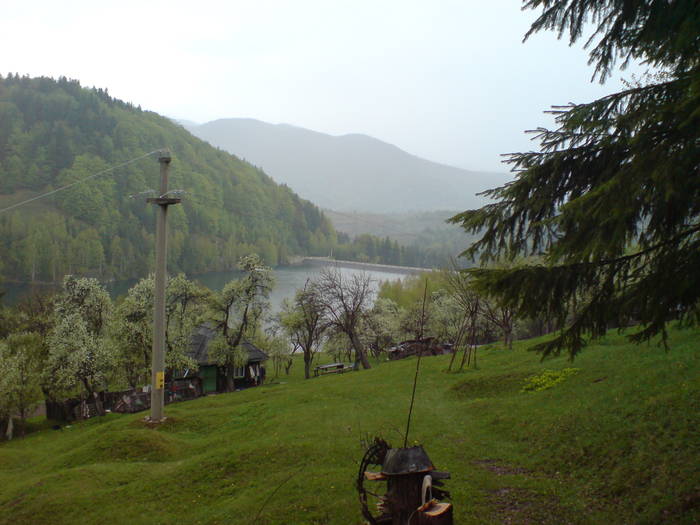 DSC01212; Barajul Valea de Pesti.
