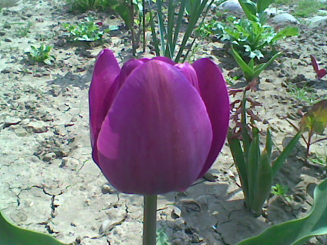 Imag064