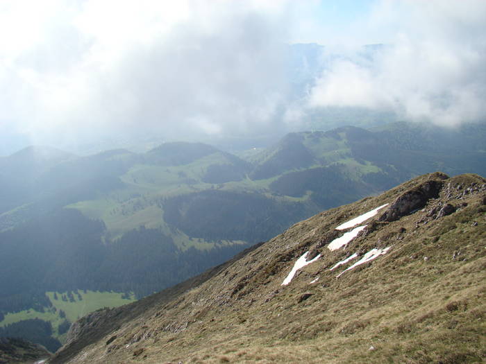 DSC03214 - Piatra Craiului MAI