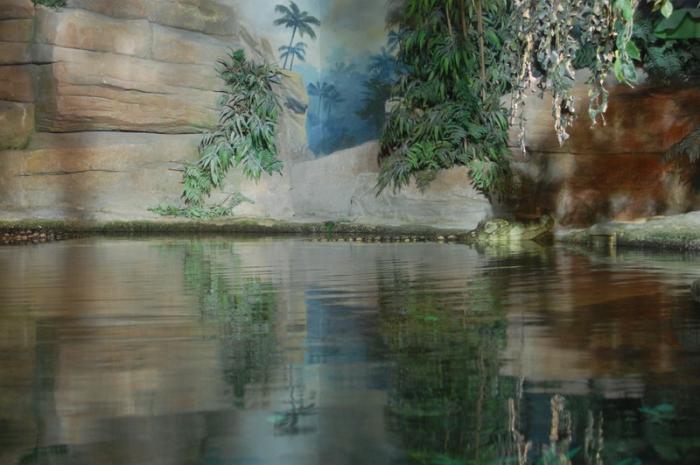 DSC_0116 - zoo amneville