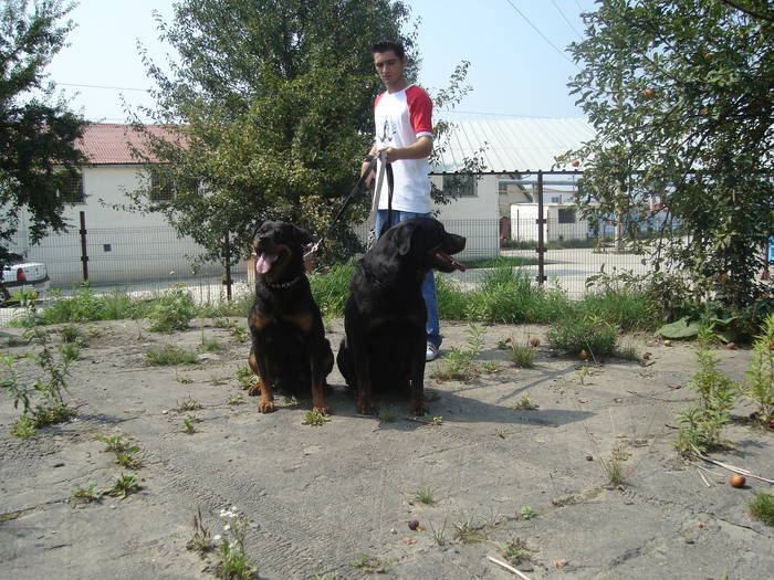 DSC00412 - CAINI- pisici-DIVERSE