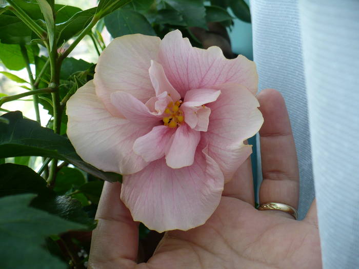 P1150195