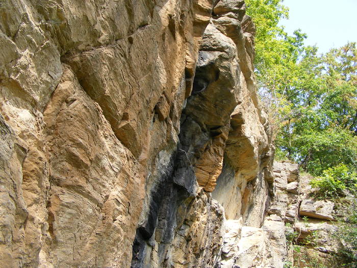 DSCF0379