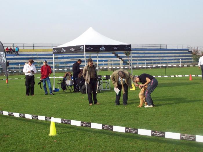 prezentarea dentitiei - CNCG-Constanta 2008