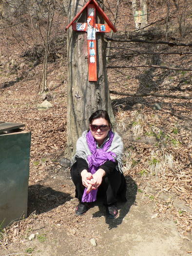 P1040361 - 2009 aprilie manastirile  cetatuia-namaesti-corbi