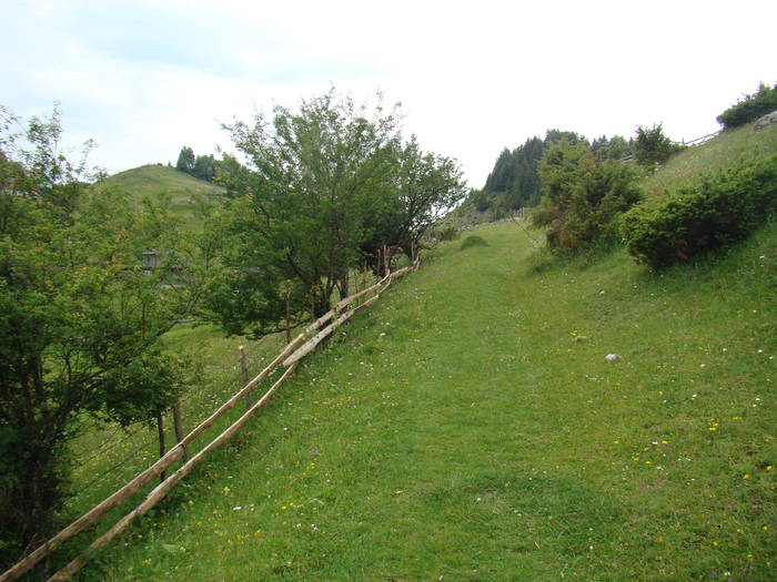 DSC03894 - Concediu 2009