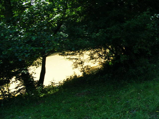DSCF2644