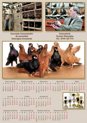 Picture 108 - jucatori de constanta