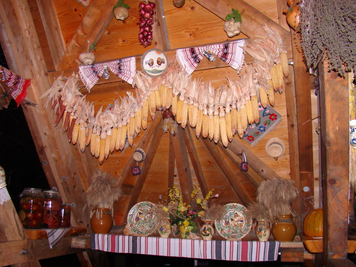 DSC01010