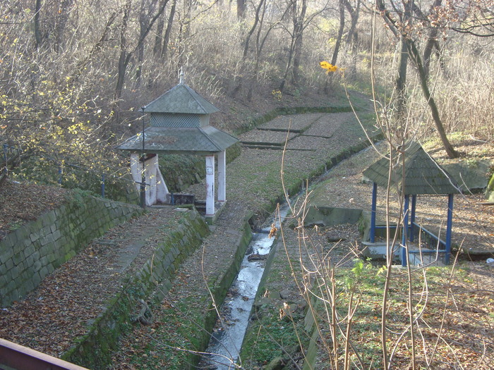 parcul bai - Moinesti sfarsit de noiembrie 2009