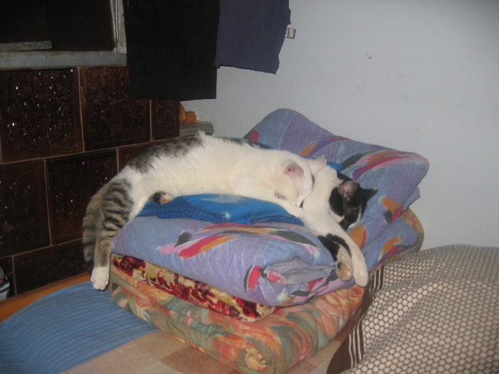 23 dec 2007 013