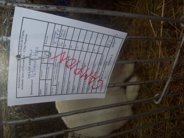 EXPO 2009 .01.09  CLUJ-NAPOCA 074