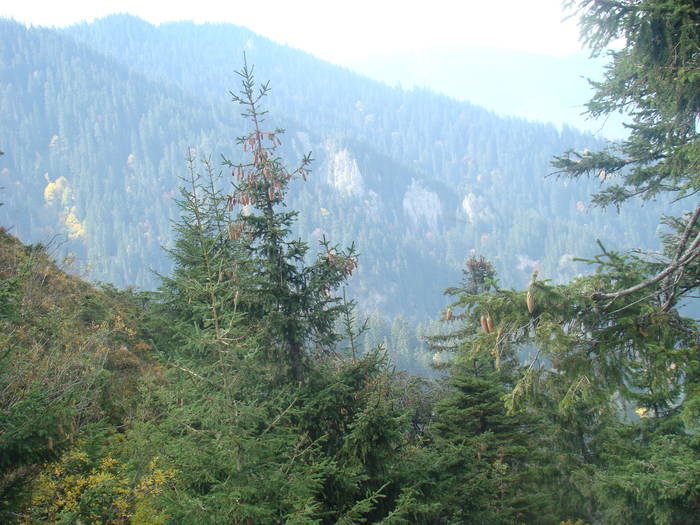 DSC00321