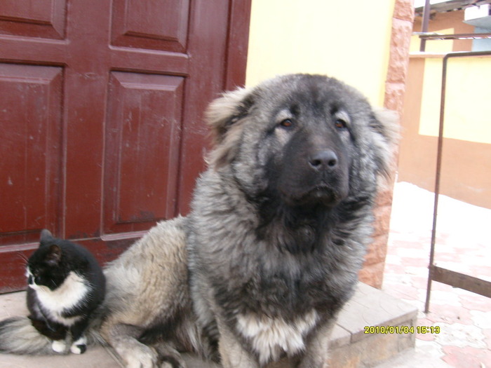 S7302195; kessi ?i prietenul ei Murke?a
