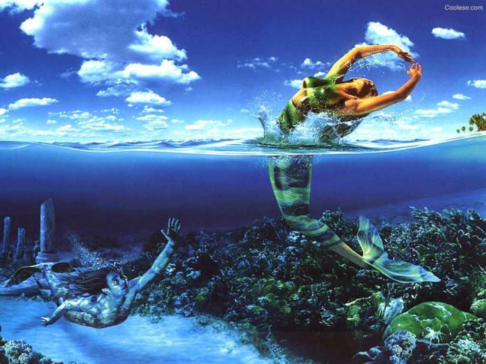 wallpaper_pesti - poze cu animale din mari si din oceane